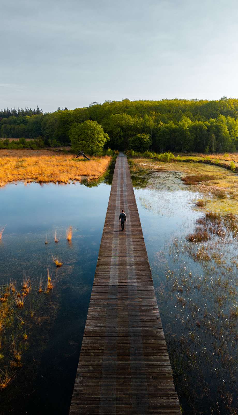 Luchtfoto wandelaar op een vlonderpad in Nationaal Park Drentsche Aa Luchtfoto wandelaar op een vlonderpad in Nationaal Park Drentsche Aa