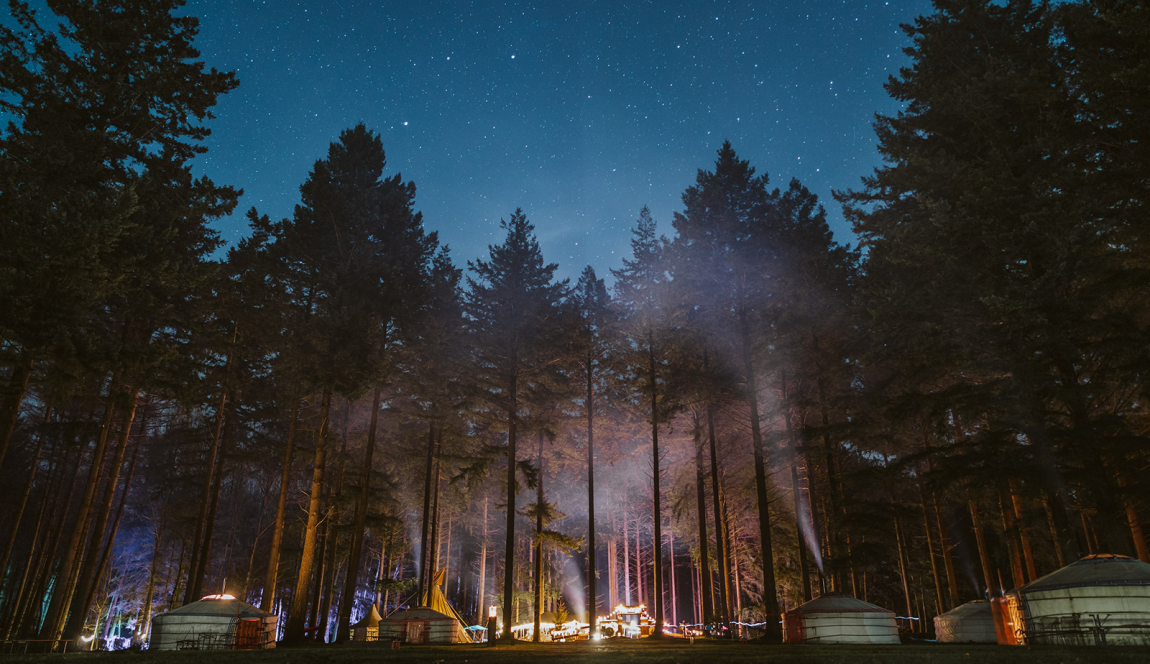 Een camping met meerdere yurts tussen de bomen onder de sterrenhemel